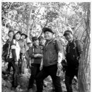 바람에 언덕 이미지