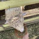 태형목장 이미지