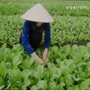 삼육요양원 네이버블로그