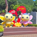 반디랜드 반딧불청소년수련원 이미지