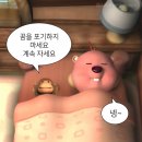 960 | 토익 한 달 960 후기 🥽✨(공부법, 광고x)