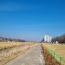 원주천1길 이미지