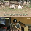 밍키네일 이미지