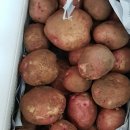 서홍농장 이미지