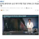 청소하는호랑이 이미지