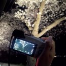 글램독 경주 A동 | 경주 숙소 추천 글램독 애견펜션 경주점 보문단지 근처 가성비 숙소 내돈내산