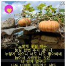 톡톡이네 이미지