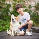 달래캐터리 | 수원 강아지분양 미니펫 강아지분양 고양이분양 수원점 사랑으로 연결되는 특별한 순간