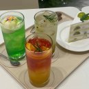 밀크숑 애견샵 이미지