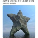 캡스톤 메디컬 | 새해니까 일기를 쓰자