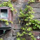 수정여관 이미지