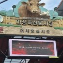 대흥 축산 이미지