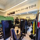 탑바디핏 이미지