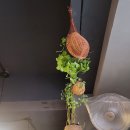 돼지병장 이미지