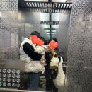 아림광고 | 찐 내돈내산 JW스튜디오 대구점 아기 돌촬영 후기