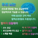 현대메디칼약국 이미지