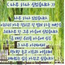 느티나무작은도서관 네이버블로그