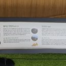 알프스시네마 1관 이미지
