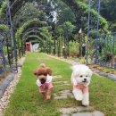 운동장가든 이미지