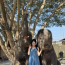 the good PC cafe | 치앙마이 코끼리 카페 아이랑 가볼만한곳 투어 없이 For the Good Times