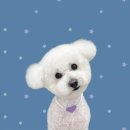 하얀이언니네 이미지