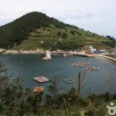 통영 티스토리