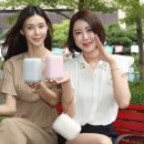 지니라이팅