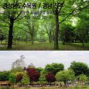 수목원 이미지