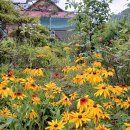 그린하우스펜션 | 곤지암펜션 그린하우스펜션 방문후기