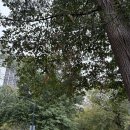 한화연기LPG충전소 화장실 | 지린내를 맡으며 햄버거를 먹고, 뉴욕의 노들섬, 서울로를 구경하고 오들오들떨다