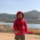다도댐메기탕 Daum카페