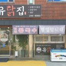 마산생닭
