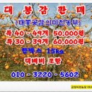아천대봉곶감