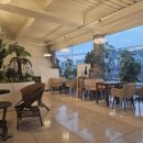 가비에떼 이미지