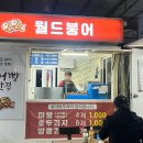 월드붕어