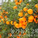 흥부네곳간 이미지