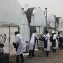 남양유업 이미지