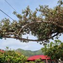 우림장민박 이미지