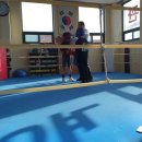 순천 엘리트복싱 이미지