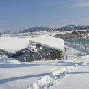 삼일태양광발전소 이미지