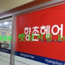 향촌하와이 이미지