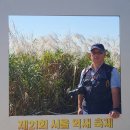 서울 마포구 하늘공원과 메타세쿼이아 숲길 (2023.10.02) 이미지