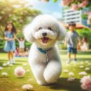 보비동물병원 이미지