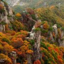 2022-주183 이미지