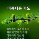 1달러 11센트의 기적 이미지
