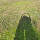 도랑추어탕 이미지