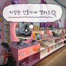 일러스트핸드페인팅(야간) | 제주 소품샵 추천, 제주도 기념품샵 | 이상한 선물가게 앨리스 솔직 후기 (포토존/체험존)