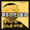 루피니빈 콩 효능/당뇨,혈압,면역력 이미지