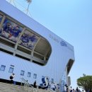 대구 삼성라이온즈파크 스카이상단지정석 U-13구역 시야 직관후기