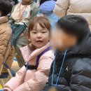 (주)신화종합건철 | 초등 1학년 마무리 | 생활통지표·토셀 1등급·2학년 준비 기록